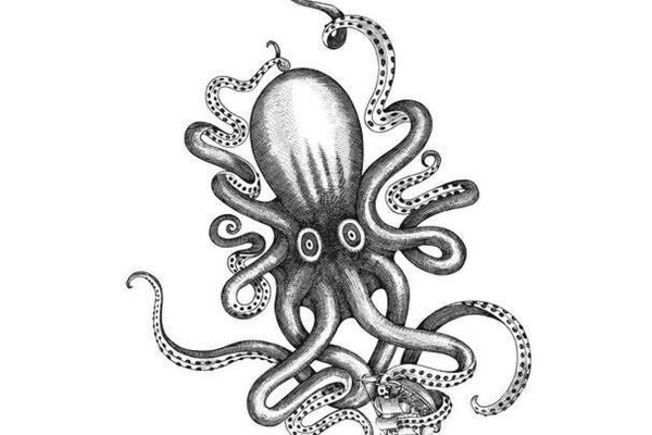 Kraken официальная ссылка